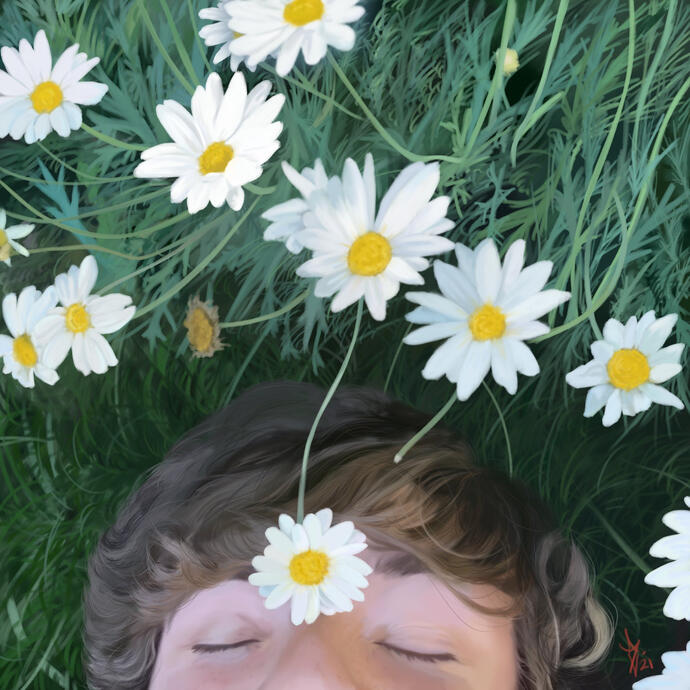 Daisies